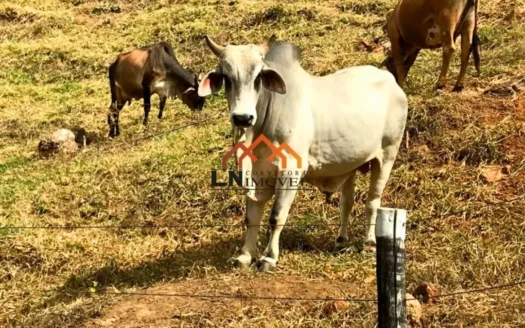 Sítio em Governador Valadares com poço, piscina e mais
